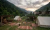 Artvin Kamp Yapılacak Yerler? Ücretli, Ücretsiz Kamp Alanları